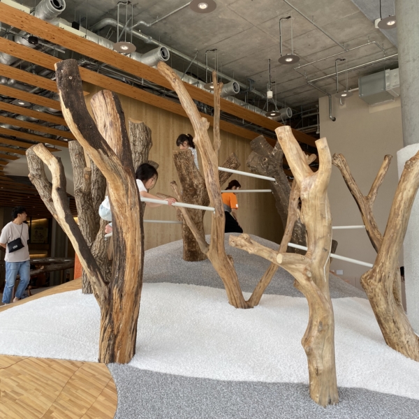 IMG_4611-600x600.jpg IMG_4611-600x600.jpg